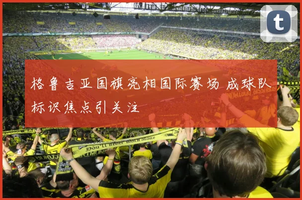 格鲁吉亚国旗亮相国际赛场 成球队标识焦点引关注