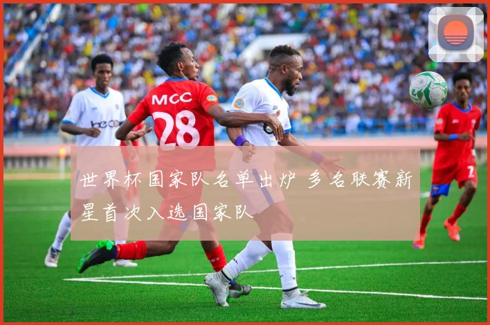 世界杯国家队名单出炉 多名联赛新星首次入选国家队