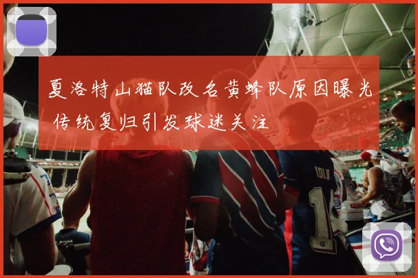夏洛特山猫队改名黄蜂队原因曝光 传统复归引发球迷关注