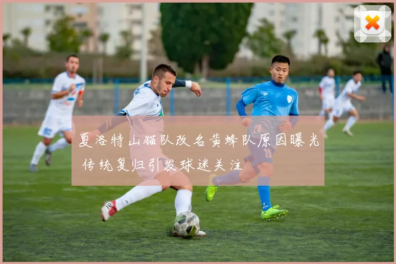 夏洛特山猫队改名黄蜂队原因曝光 传统复归引发球迷关注