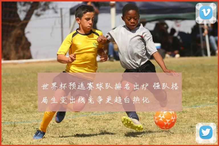 世界杯预选赛球队排名出炉 强队格局生变出线竞争更趋白热化