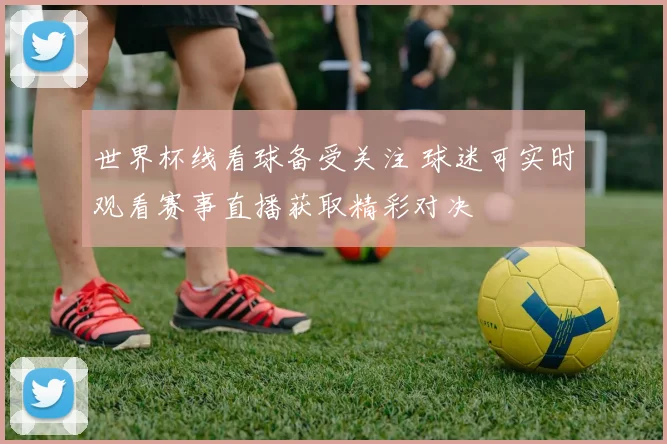 世界杯线看球备受关注 球迷可实时观看赛事直播获取精彩对决