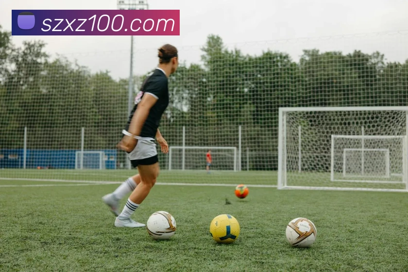 巅峰国标pg官网入口平台生态图